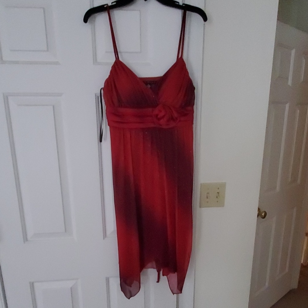 Homecoming or prom dress, or date night